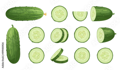 Cucumber variations whole sliced and wedged a fresh vegetable illustration