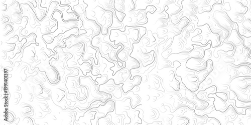 Abstract topographic map illustration with wavy gray lines on white background