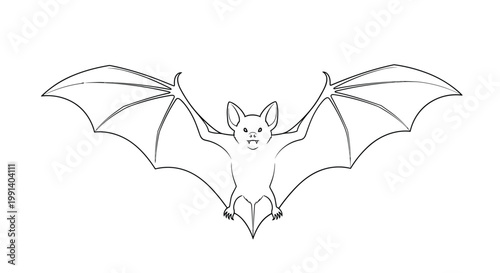 Realistic black and white line drawing of a fruit bat with its large wings fully spread in a symmetrical flying pose.