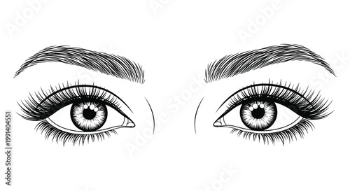 Detailed black and white sketch of a pair of female eyes with long eyelashes and groomed eyebrows on white.