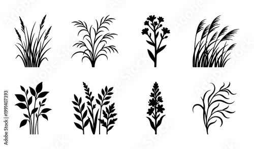 Black grass silhouette vector set, botanical wild plant icons, minimalist meadow weeds and field flora collection for landscape design