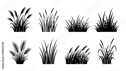 Black grass silhouette set with 8 vector elements, wild meadow plants and marsh reeds collection, botanical garden greenery icons for landscape design