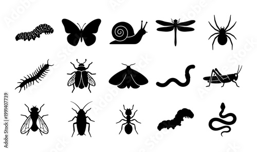 Minimalist insect silhouette icons, set of 15 black bug vector elements, garden pests and wildlife creatures for educational biology diagrams