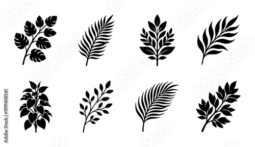 Tropical leaf silhouettes set, 8 black botanical vector icons, minimalist palm and monstera foliage elements, floral nature design assets