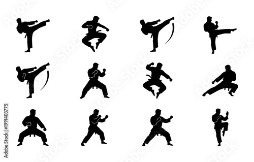 Martial arts karate silhouettes set, 12 black fighter vector icons, taekwondo and kung fu combat poses, athletic action figures for sports design