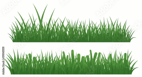 Green grass blades on white background.