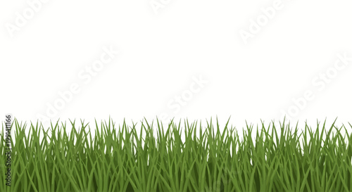 Green grass blades closeup view.