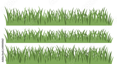 Green grass blades in three rows.