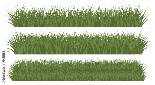 Green grass blades isolated on white.