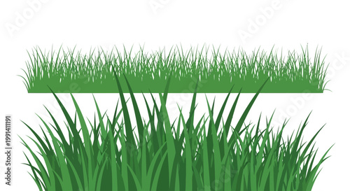 Green grass blades closeup view.