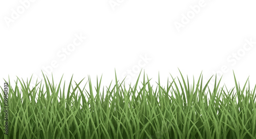 Green grass blades close up view.