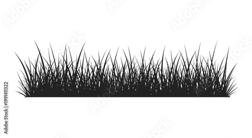 False eyelashes on white background.