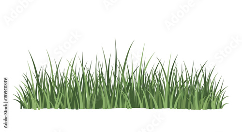 Green grass blades close up view.