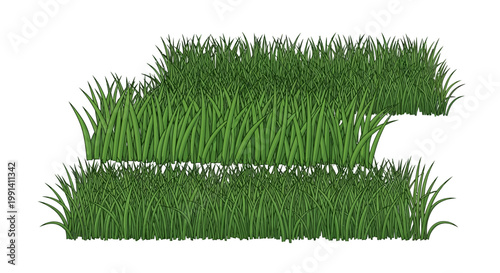 Green grass blades closeup view.