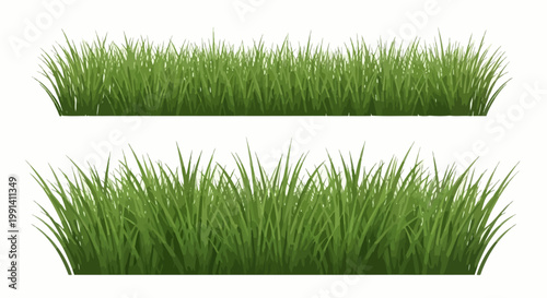Green grass blades growing naturally outdoors.