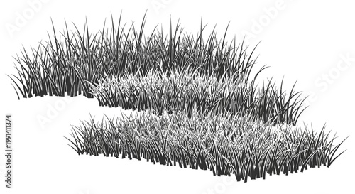 Frozen grass in winter weather conditions.