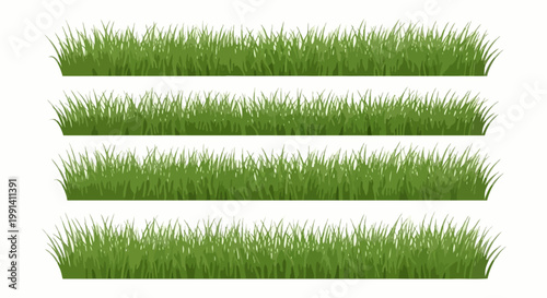 Green grass blades in rows.