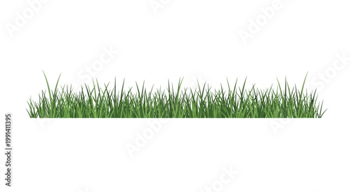 Green grass blades closeup view.