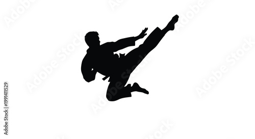 Silhouette of a martial artist performing a dynamic kick in mid air