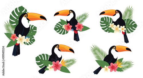 Set of five different toucan bird illustrations is shown with various tropical leaves and colorful exotic flowers.