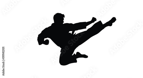 Silhouette of a martial artist executing a dynamic roundhouse kick
