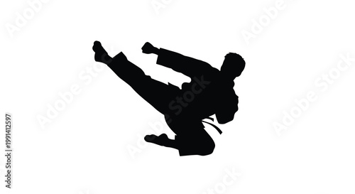Silhouette of a martial artist performing a dynamic kick in mid air