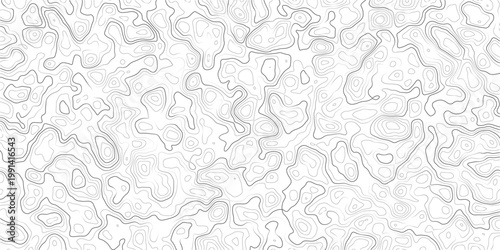 Gray topographic contour lines on white background texture pattern