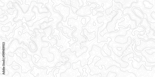 Gray topographic map lines on white background for design and texture