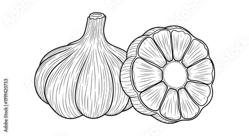 Detailed black and white line drawing of a whole garlic bulb and a sliced cross section showing cloves for recipes.