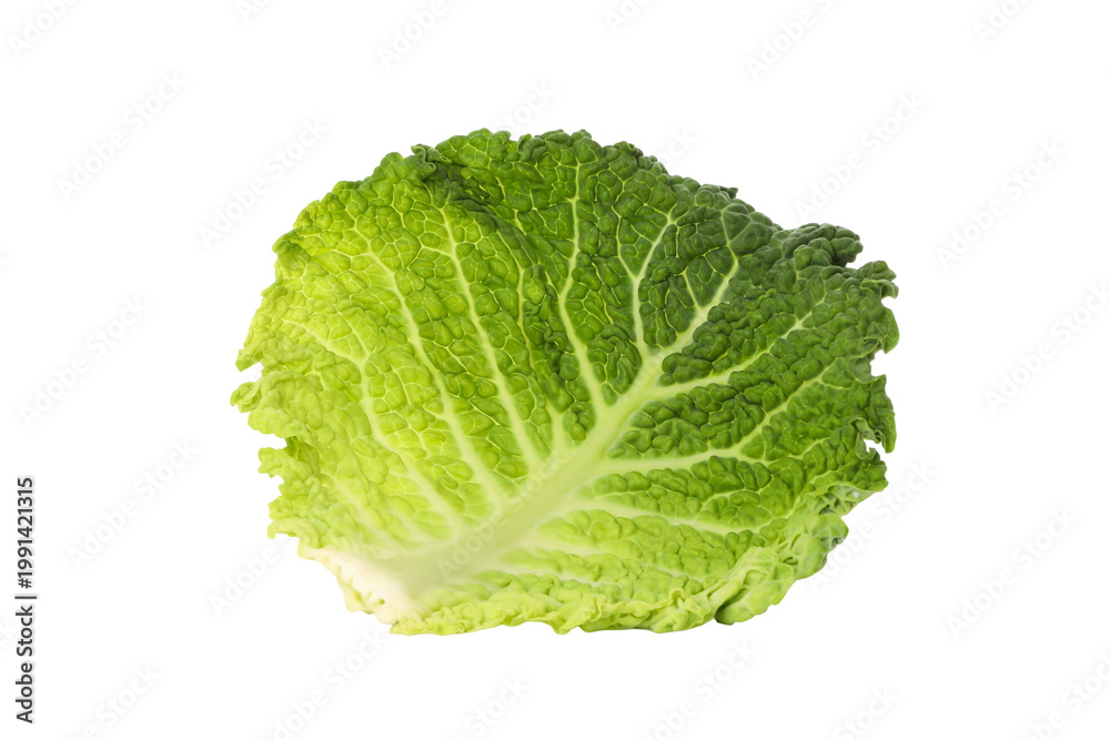 Fototapeta premium Fresh green cabbage ready for cutting and cooking, isolated, PNG