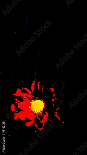 Bold neon red daisy flower with bright yellow center isolated on black background, high-contrast pop art posterized effect, minimalist floral graphic, vibrant abstract nature artwork.