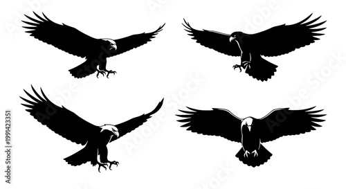 Eagles black silhouette set with outstretched wings and white heads flying high in the air. featuring eagle, birds, avian with wildlife and nature