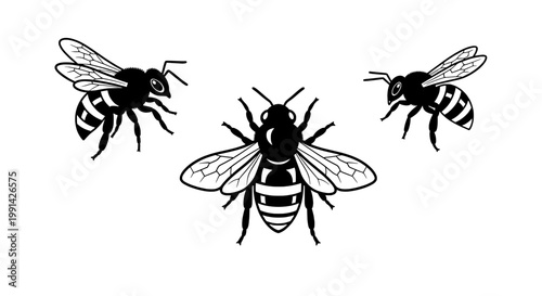 Bees black and white illustration set with striped bodies and wings flying featuring insects, animals, insects with bugs and creepy-crawlies elements