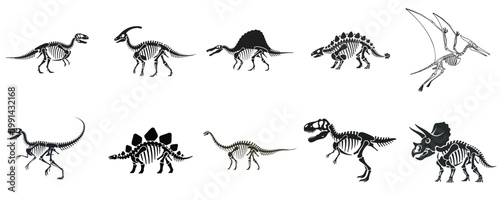 Dinosaur Skeleton Vector Set Prehistoric Fossil Bones Collection Jurassic Anatomy Illustration Isolated Black Silhouette Design Bundle