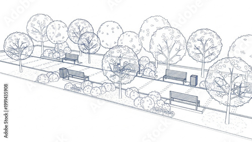 High Quality Park Scenery CAD Design Style Illustration with Trees and Benches Clean Vector Landscape Blueprint