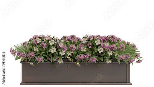 Box Planter with Purple and White Flowers