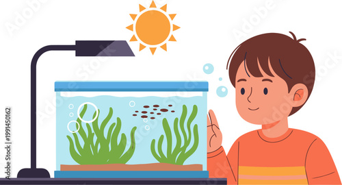 A young boy observes an aquarium with algae, illuminated by a lamp. He?s learning about science and nature. Bright, educational illustration.