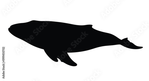 A silhouetted whale gracefully swimming in an undefined ocean space