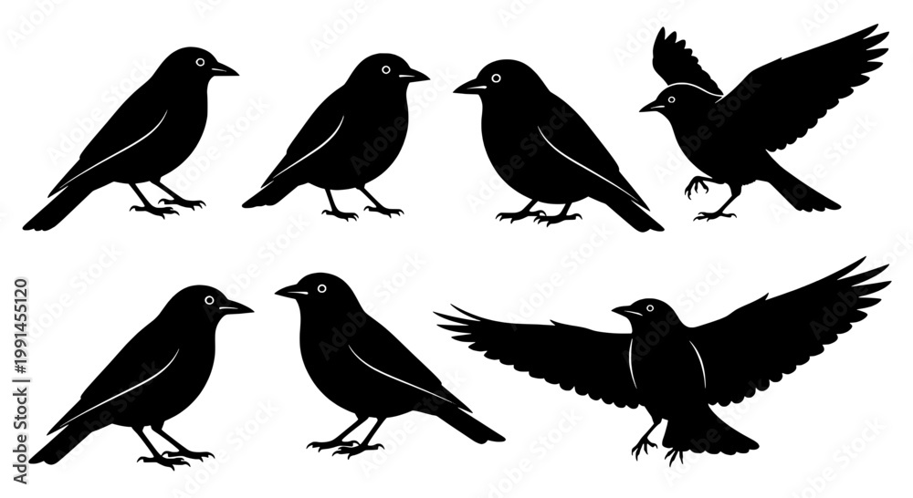 Fototapeta premium Birds black silhouette set with walking and flying poses, simple vector graphics featuring silhouettes, bird silhouettes, animal with wildlife and