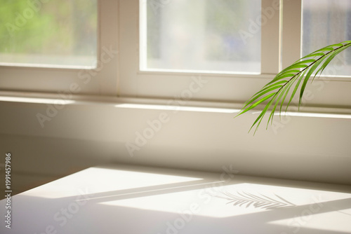 Wallpaper Mural Natural Sunlight and Leaf Shadows on Window and Wooden Floor Background. Torontodigital.ca