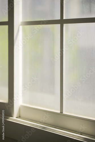 Wallpaper Mural Natural Sunlight and Leaf Shadows on Window and Wooden Floor Background. Torontodigital.ca