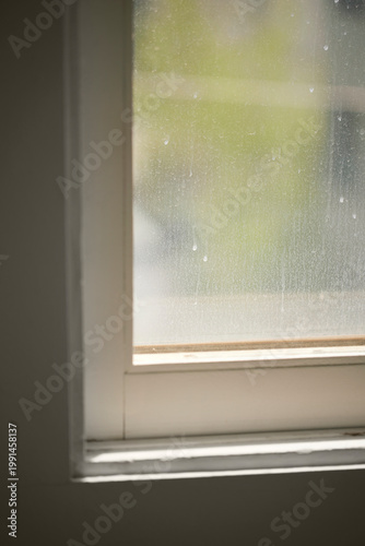 Wallpaper Mural Natural Sunlight and Leaf Shadows on Window and Wooden Floor Background. Torontodigital.ca