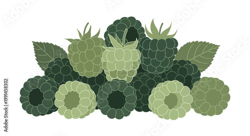 A pile of fresh green raspberries with leaves, depicted in various shades of green.