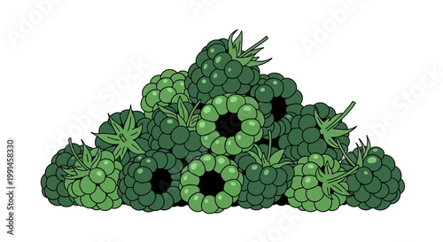 A large pile of fresh, unripe green raspberries in a stylized illustration.