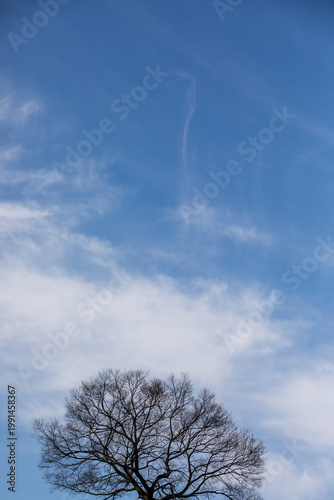 고창 읍성 풍경 이야기