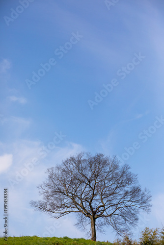 고창 읍성 풍경 이야기