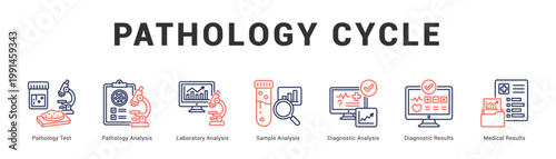 Pathology Cycle Modern and clean web banner illustration featuring thematic icons for visual communication