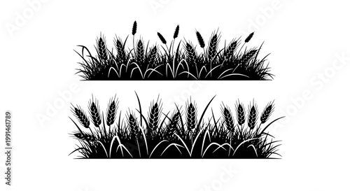 Grass blades silhouette with wild texture, thin leaves and layered blades for nature landscape and eco design icons