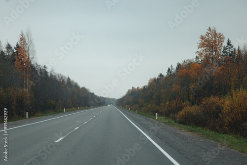 A long highway presents a tranquil journey, bordered by trees displaying vibrant autumn colors. The open road invites exploration under a pale sky, emphasizing the beauty of nature.