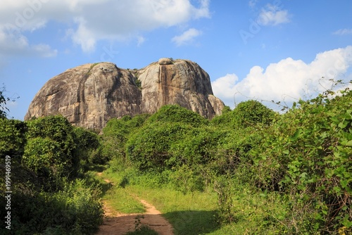 Monolithic Rock Formation in the Sri Lankan Wilderness